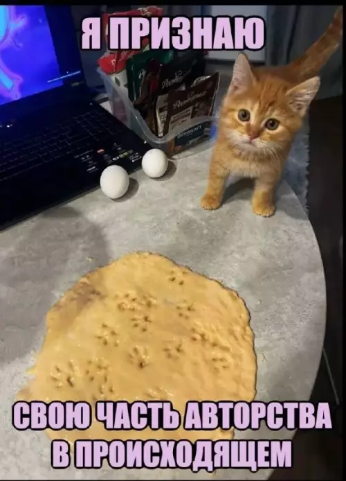 Когда сам виноват в кулинарном фиаско 😹🍳 - Я ПРИЗНАЮ СВОЮ ЧАСТЬ АВТОРСТВА В ПРОИСХОДЯЩЕМ