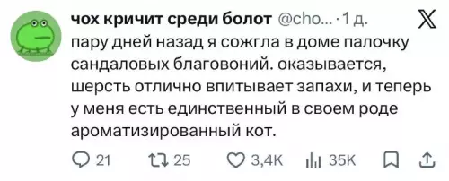Кот со вкусом сандала? 🐈✨ - пару дней назад я сожгла в доме палочку сандаловых благовоний.