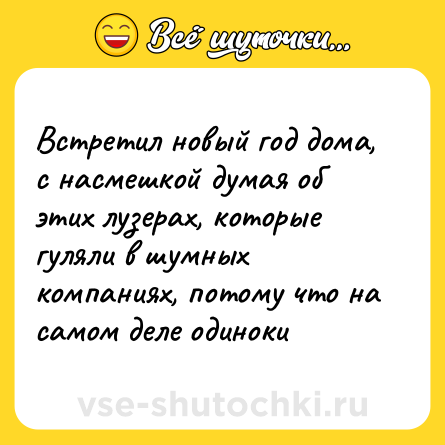 Шутка: Встретил новый год дома, с насмешкой думая об этих лузерах, которые гуляли в шумных компаниях, потому что на самом деле одиноки