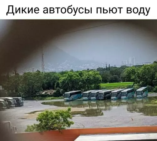 Смешная картинка №672048