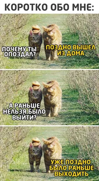 Смешная картинка №551728
