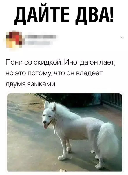 Смешная картинка №353471