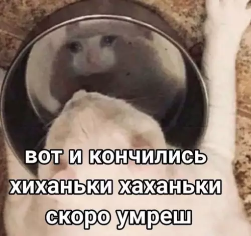 Смешная картинка №686963 6-ти летний я, когда случайно проглотил жвачку, вместо того, чтобы ее выплюнуть:
