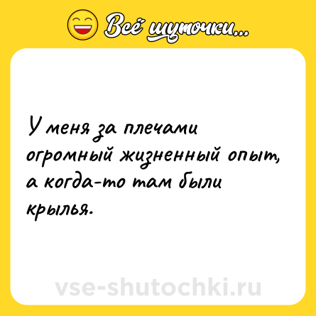 Шутка: У меня за плечами огромный жизненный опыт, а когда-то там были крылья.