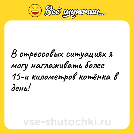 Шутка: В стрессовых ситуациях я могу наглаживать более 15-и километров котëнка в день!