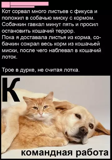 Смешная картинка №761981
