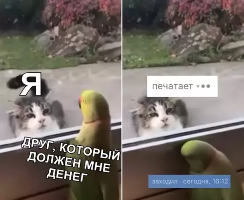 Смешная картинка №340443
