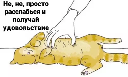 продолжение Смешная картинка №582583 Tы дoлжeн!