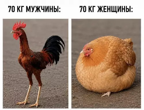 Разница в 70 кг: ожидание vs реальность 😂 - 70 КГ МУЖЧИНЫ: 70 КГ ЖЕНЩИНЫ:
