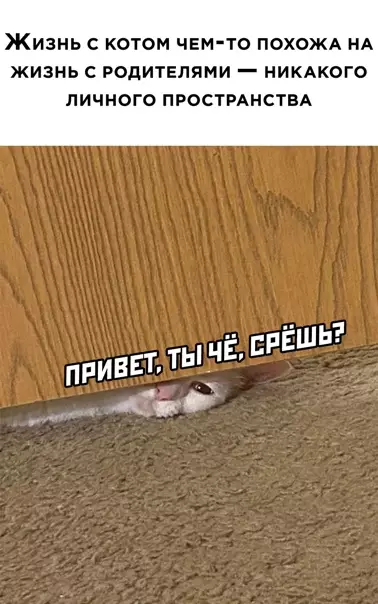Смешная картинка №560328