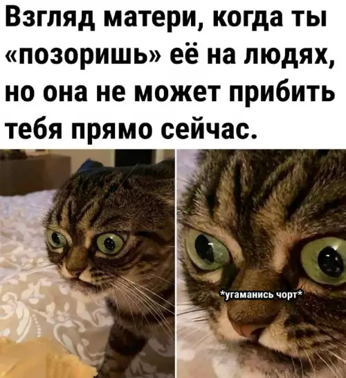 Смешная картинка №690279