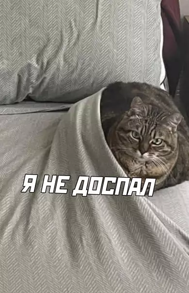 продолжение Смешная картинка №581335