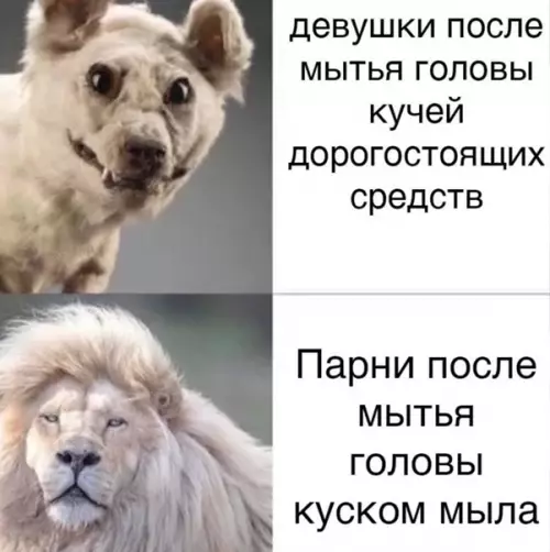 Смешная картинка №551859