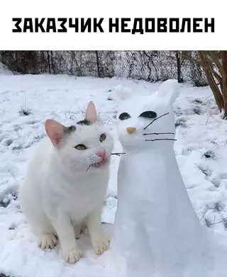 Смешная картинка №715372 Коты