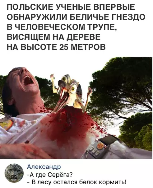 Смешная картинка №302576