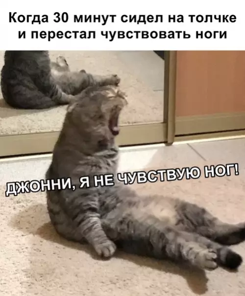 Смешная картинка №342040