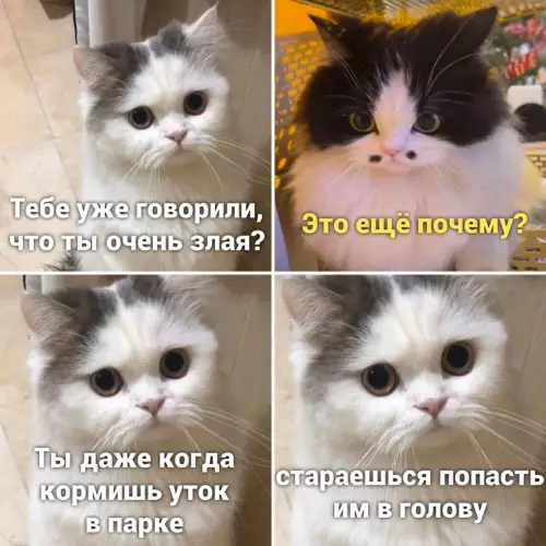 Смешная картинка №655756