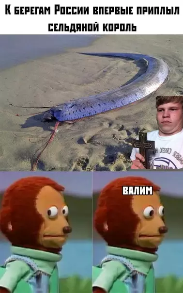 Смешная картинка №376182