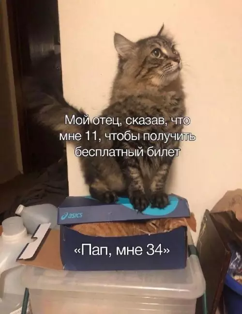 Смешная картинка №744512