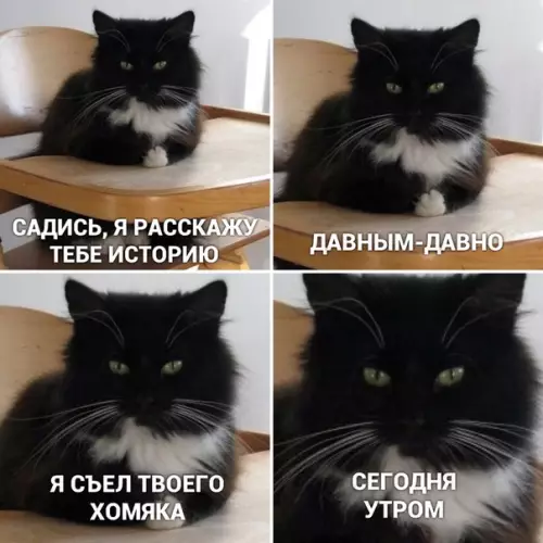 Смешная картинка №449726