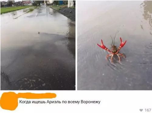 Смешная картинка №270563