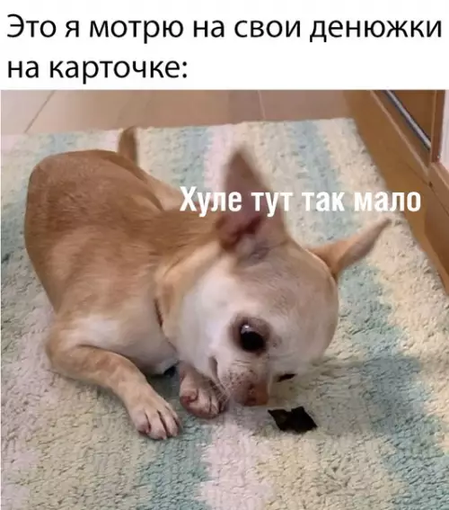 Смешная картинка №378568