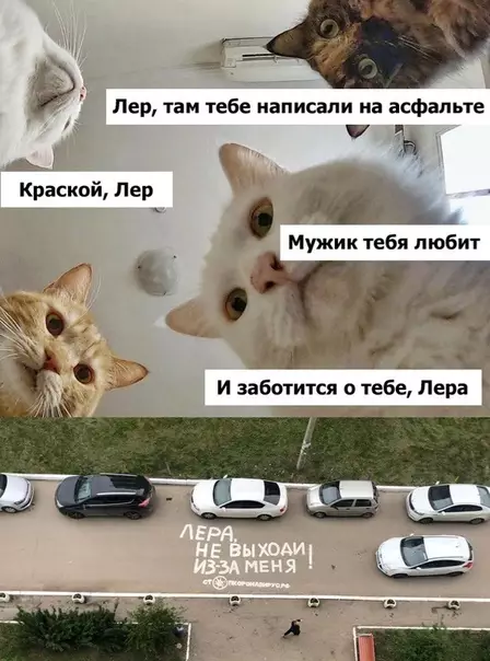 Смешная картинка №496877 Посмотри в окно, вдруг тебя там ждёт признание «не выходи из-за меня»?