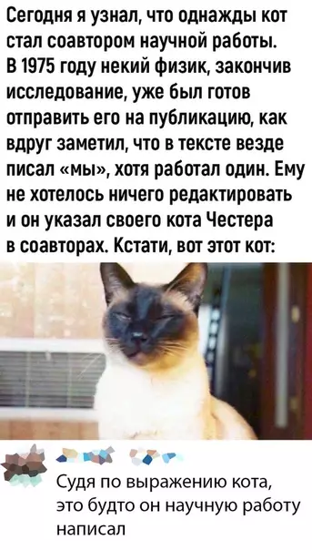 Смешная картинка №470760 коты