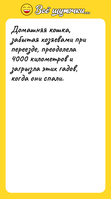 Домашняя кошка, забытая хозяевами при переезде, преодолела 4000 километров и