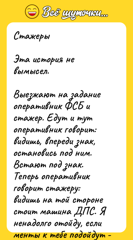 Стажеры  Эта история не вымысел.   Выезжают на