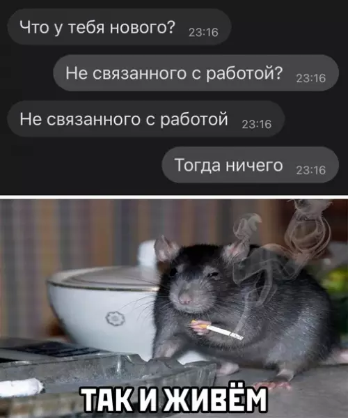 Смешная картинка №575856 Работа