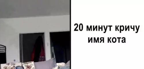 Смешная картинка №409203 Самоe большооое отличие.