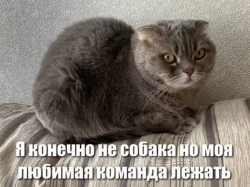 Смешная картинка №647811