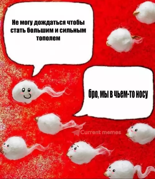 Когда у тебя слишком амбициозные планы ☁️ - Не могу дождаться чтобы стать большим и сильным тополем. Бро,