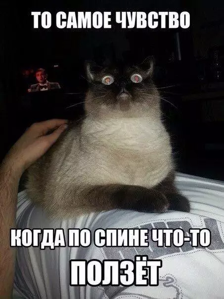 Смешная картинка №183728