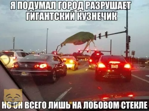 Смешная картинка №366476 #приколы #картинки #мемы ?