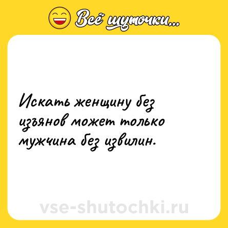 Шутка: Искать женщину без изъянов может только мужчина без извилин.
