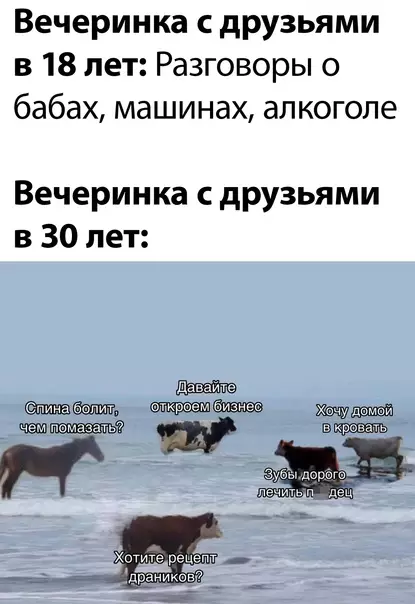 Смешная картинка №590637