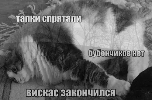 Смешная картинка №411686