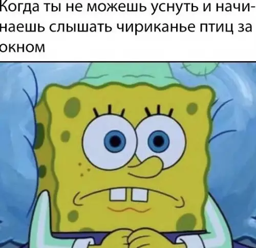 Смешная картинка №502533
