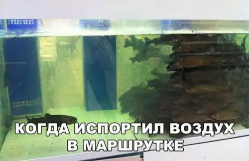 Смешная картинка №253228
