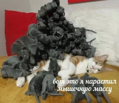 Смешная картинка №776146