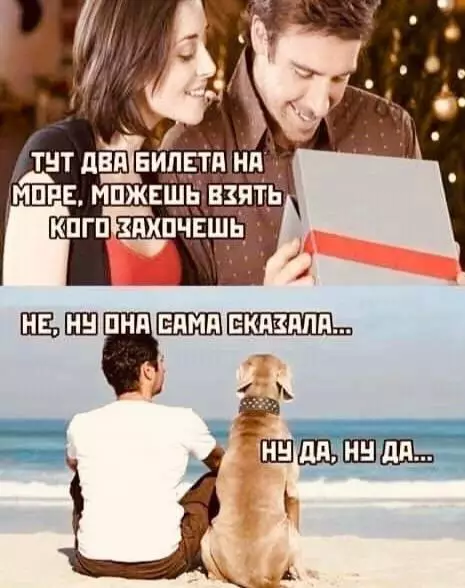 Смешная картинка №666591