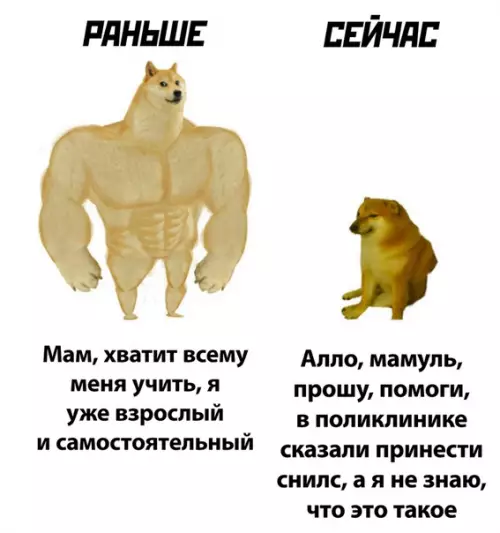 Смешная картинка №508962