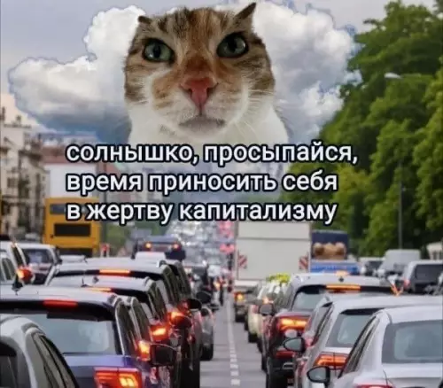 Смешная картинка №814551