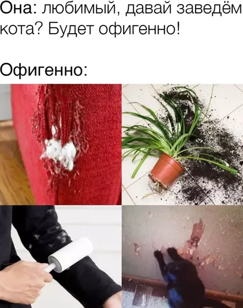Смешная картинка №563062