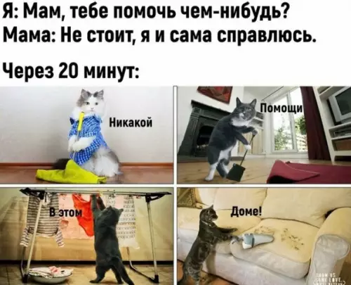 Смешная картинка №313041 Кто узнал свою маму??