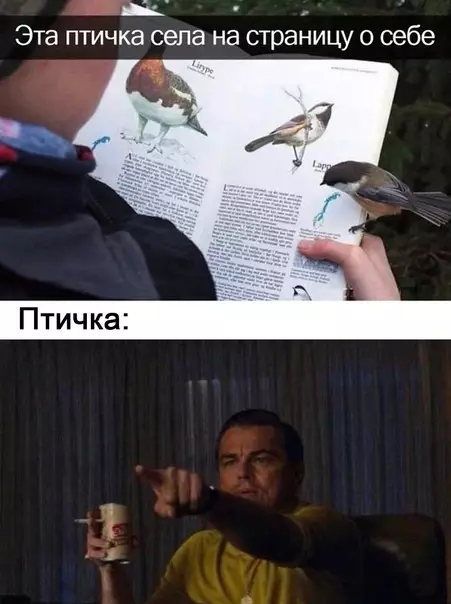 Смешная картинка №585479 Paзвe нe милo?