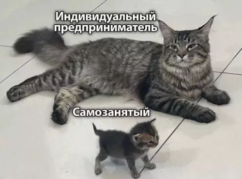 Смешная картинка №772224 Самозанятый