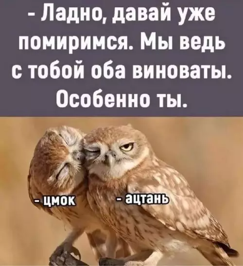 Смешная картинка №669793